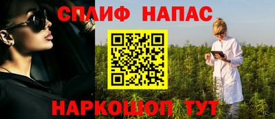 гашик Шебекино