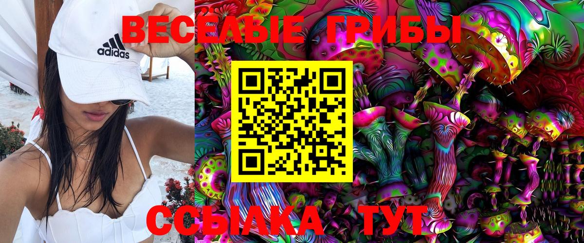 Ивантеевка  Галлюциногенные грибы Psilocybe  Псилоцибиновые грибы ЛСД  Вход с VPN 